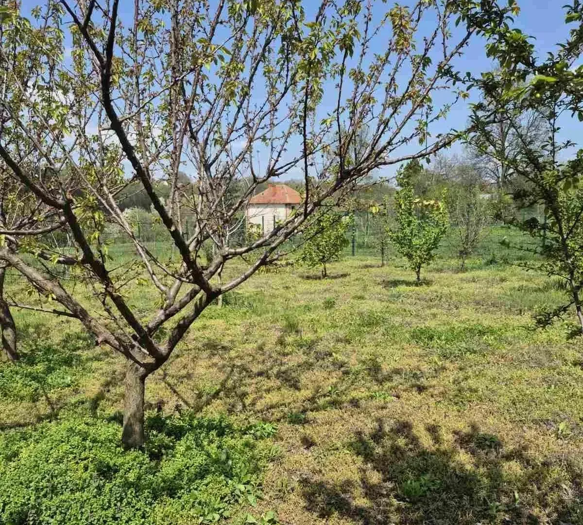 Prodaja, plac, 2950m², Voždovac Sve Podlokacije, Beograd