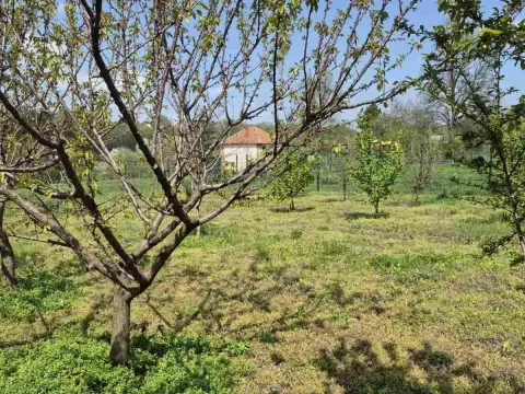 Prodaja, plac, 2950m², Voždovac Sve Podlokacije, Beograd - image 4