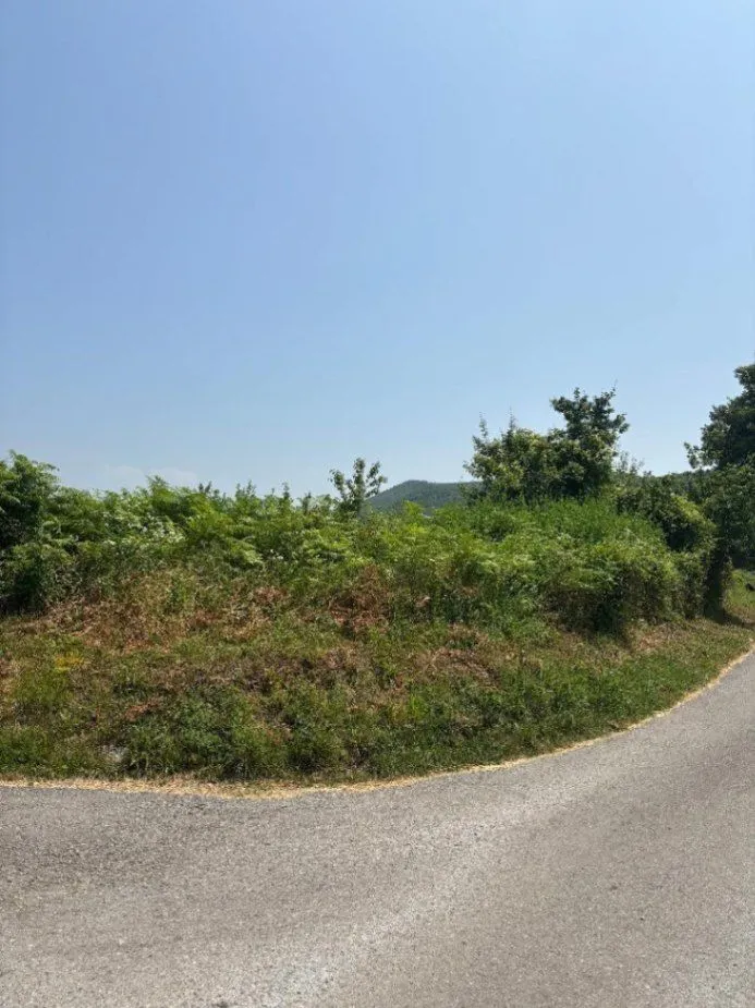 Prodaja, plac, 2400m², Pričelje, Podgorica