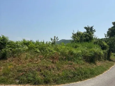 Prodaja, plac, 2400m², Pričelje, Podgorica - image 9