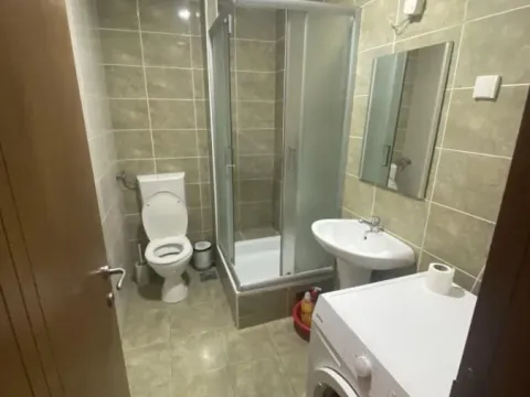 Rent, one bedroom apartment, 30m², Adamovićevo Naselje, Novi Sad Sve Podlokacije - image 5