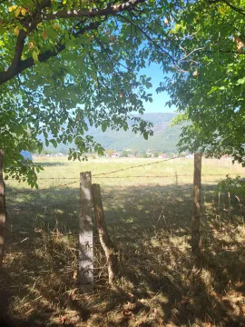 Prodaja, plac, 4000m², Aerodrom Berane, Berane - image 6
