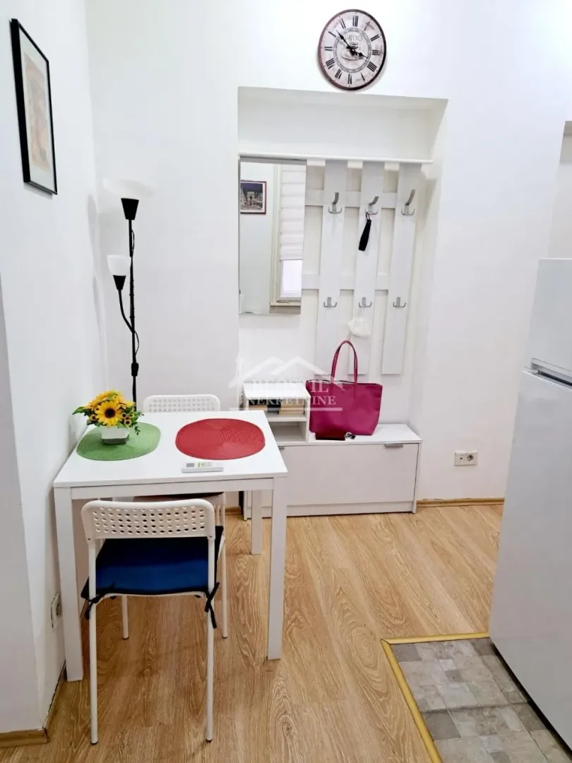 Izdavanje, jednosoban stan, 24m², Vračar Centar, Vračar Sve Podlokacije