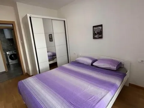 Izdavanje, jednosoban stan, 45m², Zabjelo, Podgorica - image 4