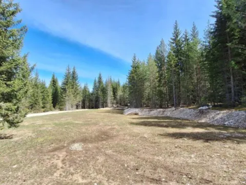 Prodaja, plac, 6750m², Podgora, Žabljak - image 5