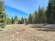 Prodaja,  zemljište, 6750m2, Podgora, Žabljak