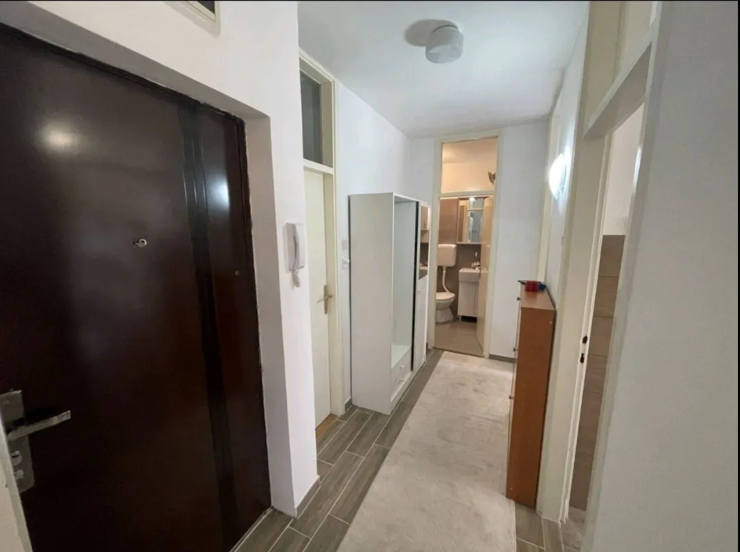 Izdavanje, jednosoban stan, 45m², Preko Morače, Podgorica
