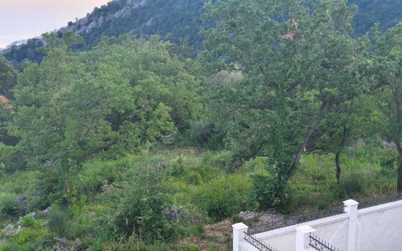 Prodaja, plac, 1700m², Markovići, Budva