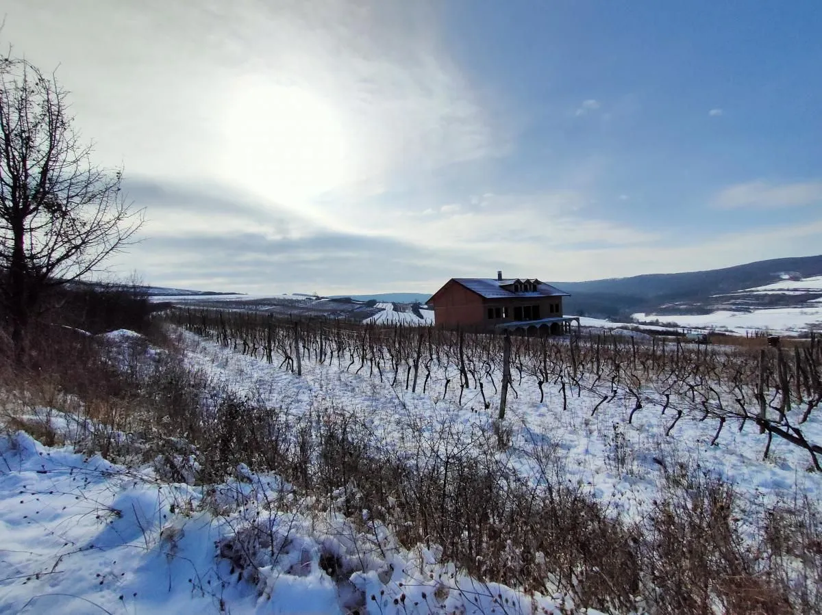 Prodaja, plac, 300m², Beočin, Srbija