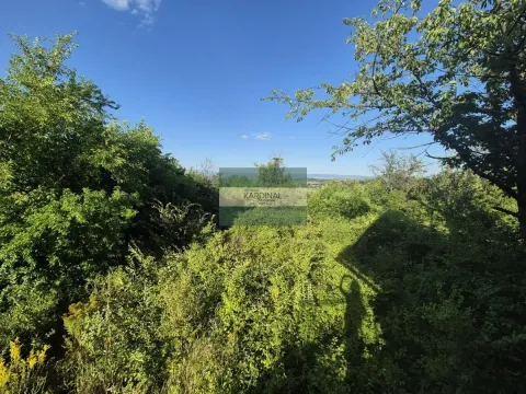Prodaja, kuća, 56m², Kolonija, Jagodina - image 12