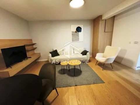Izdavanje, dvosoban stan, 51m², Tašmajdan, Palilula Sve Podlokacije - image 2