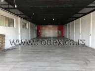Izdavanje, poslovni prostor, 300m², Altina, Beograd - image 1