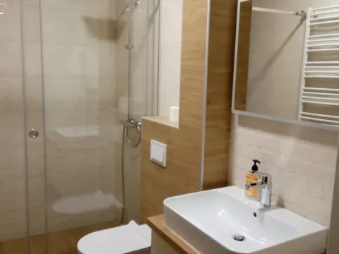 Rent, house, 160m², Dalmatinska ulica, Podgorica - image 10