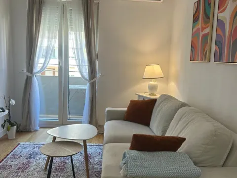 Rent, one bedroom apartment, 42m², Central Point, Podgorica - image 1