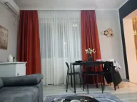 Izdavanje, jednosoban stan, 47m², Centar, Podgorica - image 6