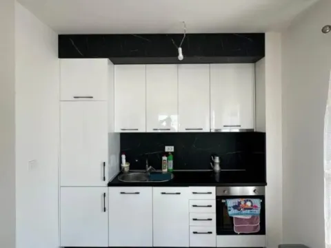 Izdavanje, jednosoban stan, 46m², Stari Aerodrom, Podgorica - image 2