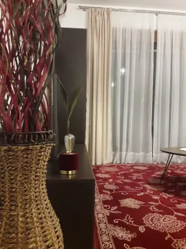 Living room featuring a red patterned carpet and a decorative vase. - image 5