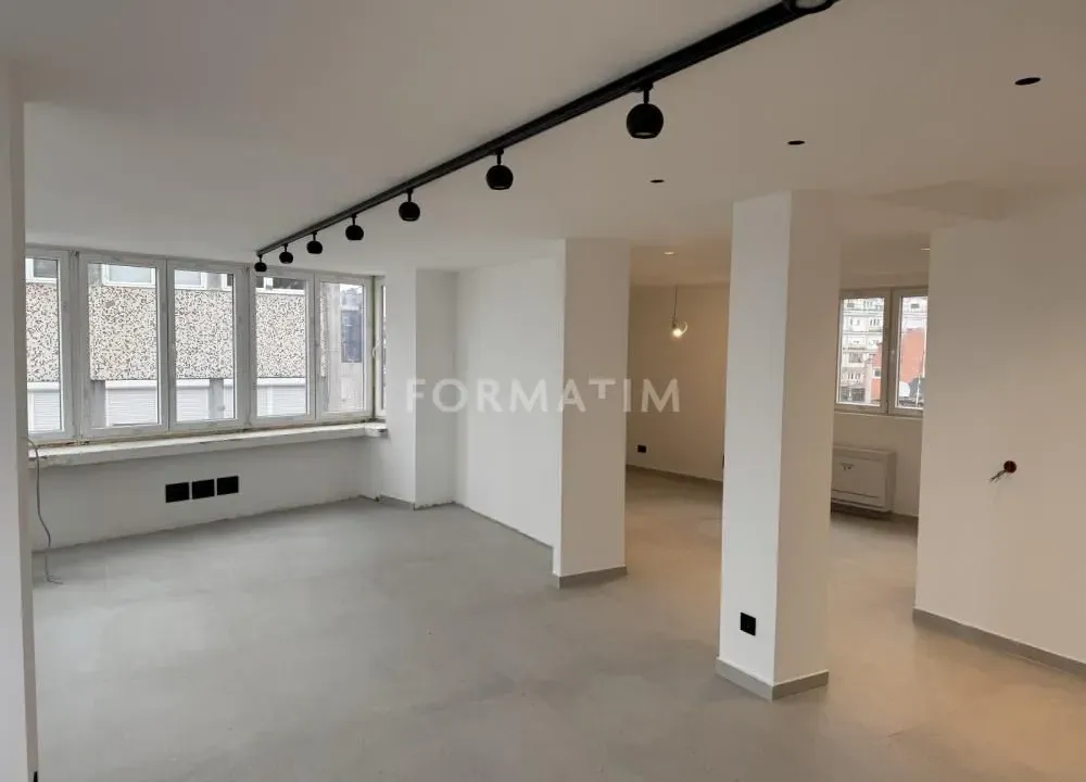 Izdavanje, poslovni prostor, 300m², Vračar Centar, Vračar Sve Podlokacije