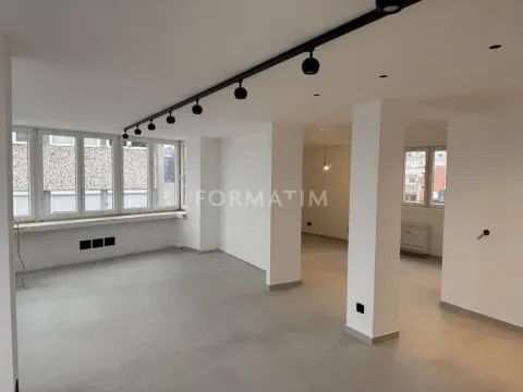 Izdavanje, poslovni prostor, 300m², Vračar Centar, Vračar Sve Podlokacije