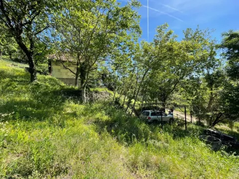 Prodaja, kuća, 80m², Sremska Kamenica, Petrovaradin - image 5