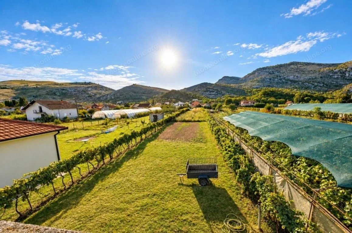 View of the yard with a vineyard and surrounding landscape.