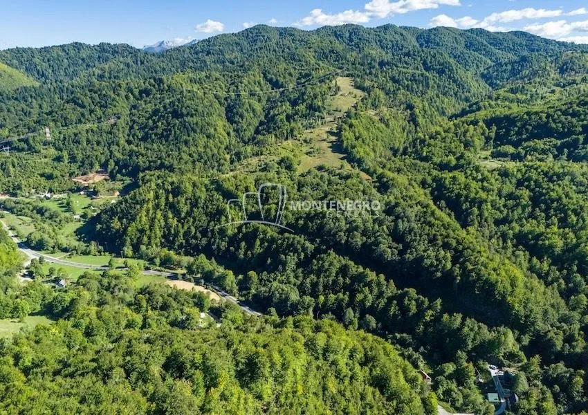 Sale, land lot, 140000m², Crkvine, Kolašin