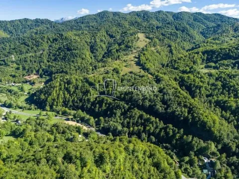 Prodaja, plac, 140000m², Crkvine, Kolašin - image 10