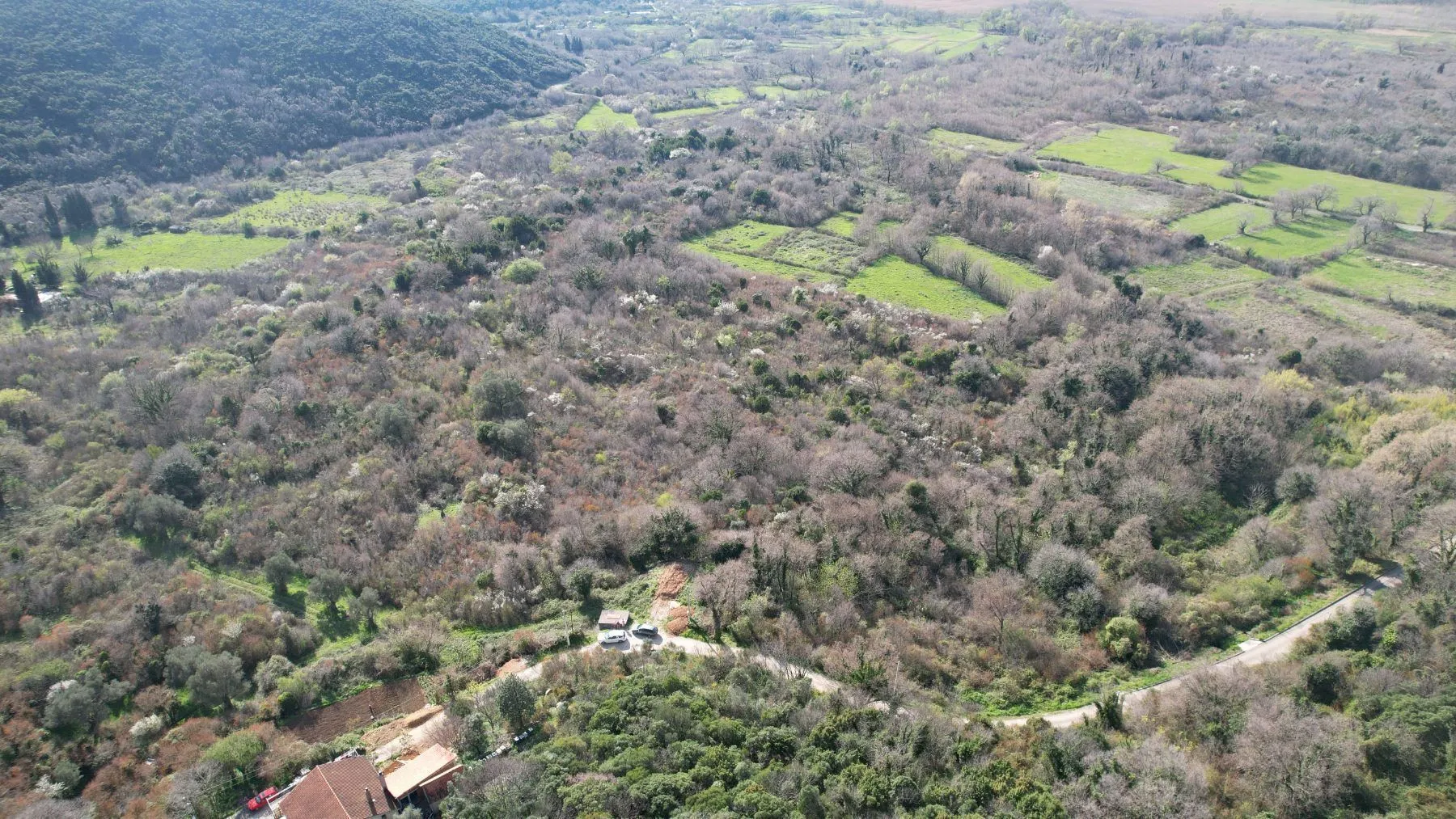 Sale, land lot, 40000m², Buljarica, Budva