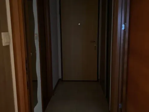 Izdavanje, jednosoban stan, 45m², Stari Aerodrom, Podgorica - image 4