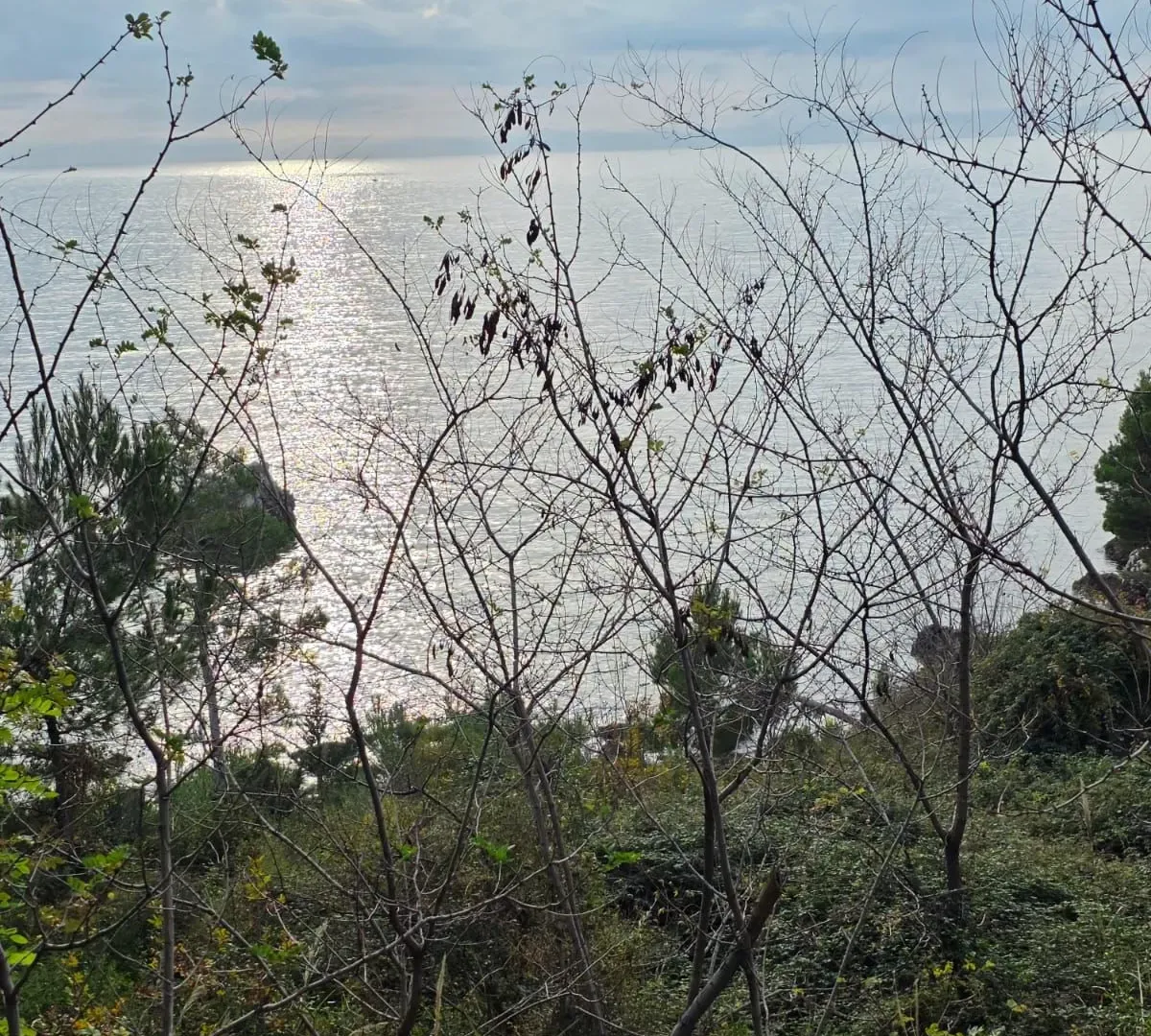 Prodaja, plac, 804m², Bar, Crna Gora