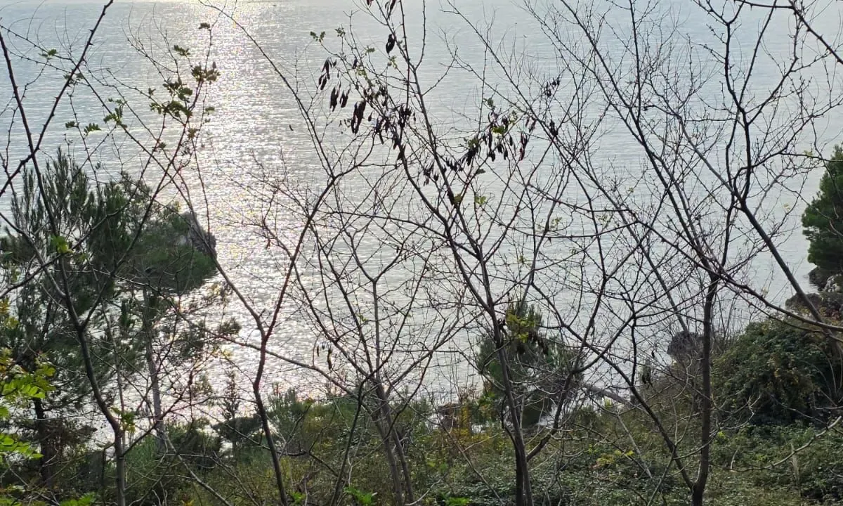 Prodaja, plac, 804m², Bar, Crna Gora