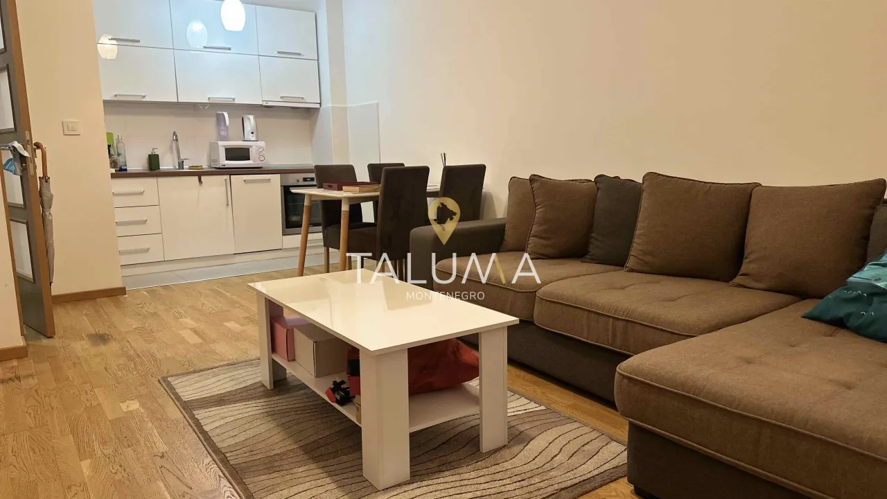 Izdavanje, jednosoban stan, 45m², Stari Aerodrom, Podgorica