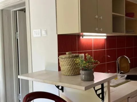Izdavanje, garsonjera, 35m², Tuški Put, Podgorica - image 6