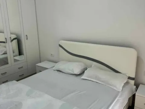 Izdavanje, jednosoban stan, 44m², Ljubović, Podgorica - image 8