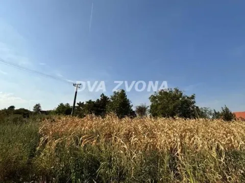 Prodaja, plac, 1100m², Čortanovci, Inđija - image 3