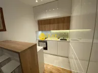 Rent, one bedroom apartment, 44m², Botanička Bašta, Palilula Sve Podlokacije - image 7