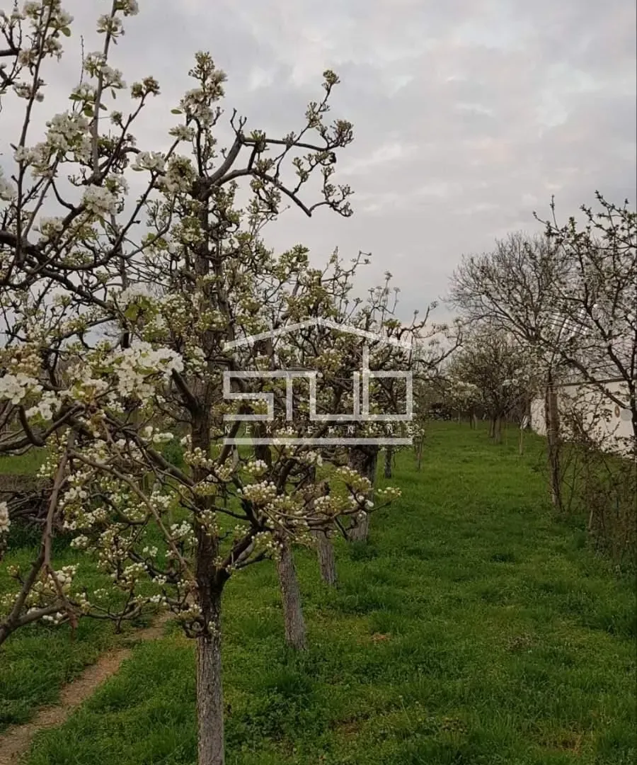 Prodaja, kuća, 130m², Stari Tamiš, Pančevo