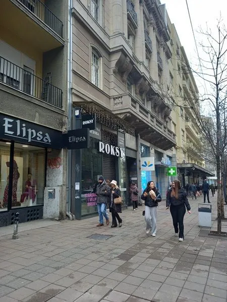 Izdavanje, poslovni prostor, 250m², Vračar, Šid