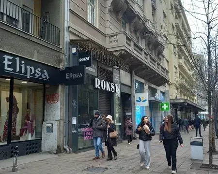 Izdavanje, poslovni prostor, 250m², Vračar, Šid - image 2