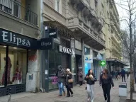 Izdavanje, poslovni prostor, 250m², Vračar, Šid - image 2