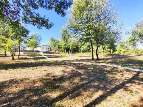 View of the spacious yard with a house and trees. - image 16