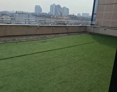 Rent, office space, 100m², Botanička Bašta, Palilula Sve Podlokacije - image 7