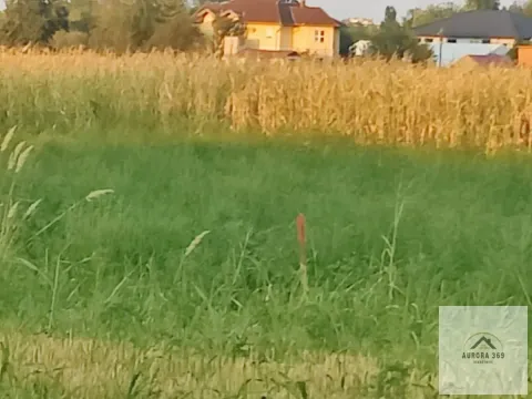 Prodaja, plac, 770m², Veternik, Novi Sad Sve Podlokacije - image 6