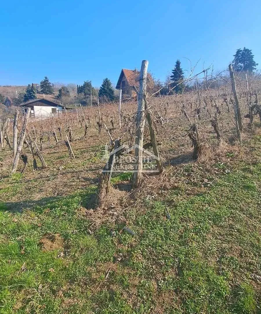 Prodaja, plac, 2000m², Brestovik, Grocka