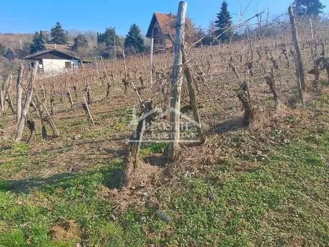 Prodaja, plac, 2000m², Brestovik, Grocka - image 6