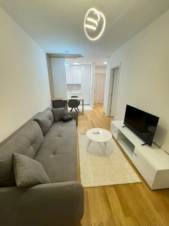 Izdavanje, jednosoban stan, 42m², Central Point, Podgorica