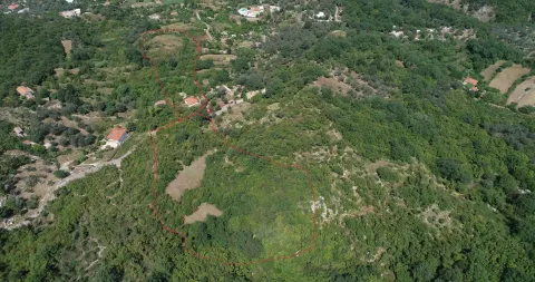 Zračni snimak zemljišta sa označenim crvenim granicama. - image 4