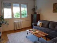 Izdavanje, dvosoban stan, 51m², Liman 4, Novi Sad Sve Podlokacije - image 3