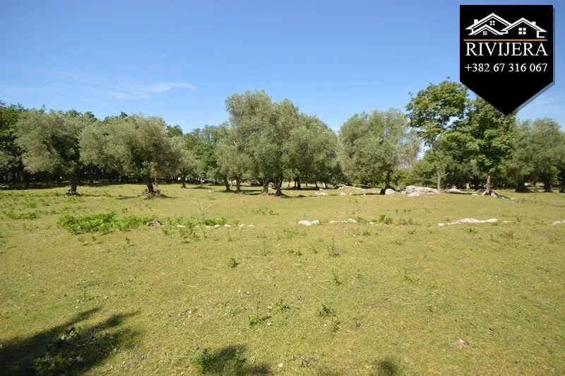 Prodaja, plac, 19000m², Podi, Herceg Novi