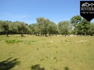 Prodaja, plac, 19000m², Podi, Herceg Novi - image 2